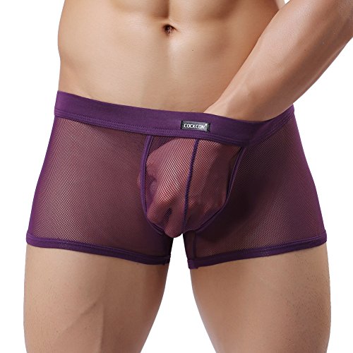 Derix Men's Sexy Soft Mesh Bulge Pouch Boxer Briefs,NNK003,purple,XXL