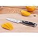 Paring Knife Fruit Knife Classic 3.5 Inch Premium Stainless Steel Spear Point Non-slip Handle Good at Peeling Slicing Cutting for Kitchen with Gift Carry Case …