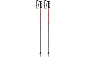 LEKI Kids’ Rider Lightweight Aluminum Ski Poles for Downhill Skiing