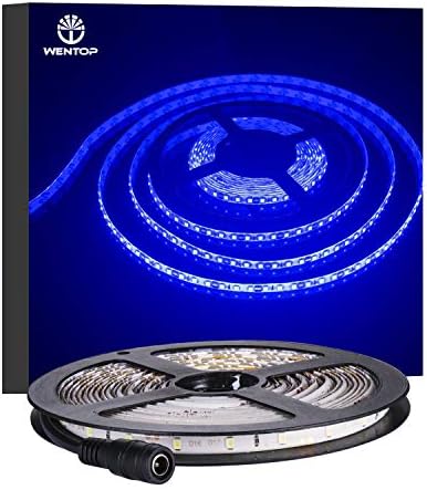 WenTop Waterproof Led Strip Lights SMD 3528 16.4 Ft (5M) 300leds 60leds/m Blue Flexible Tape Lighting Tape Lights in DC Jack for Boats, Bathroom, Mirror, Ceiling - Not Include Power Supply