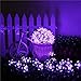 Kyson Solar Fairy String Lights 21ft 50 LED Purple Blossom Decorative Gardens, Lawn, Patio, Christmas Trees, Weddings, Parties