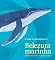 Livro Belezura marinha: Poesia para os animais ameaçados pelo homem
