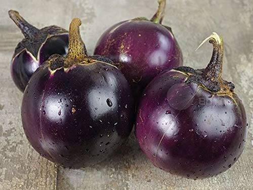 Portal Cool Choy Sum 200 Seeds: Heirloom Garden Vegetable Seeds Non-GMO Organic Asparagus Purple Carrots Leek