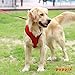 Authentic Puppia Soft Dog Harness, Red - Medium