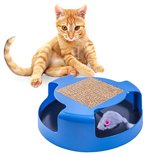 OxGord Interactive Training Exercise Cat Kitten Mouse Play Toy with