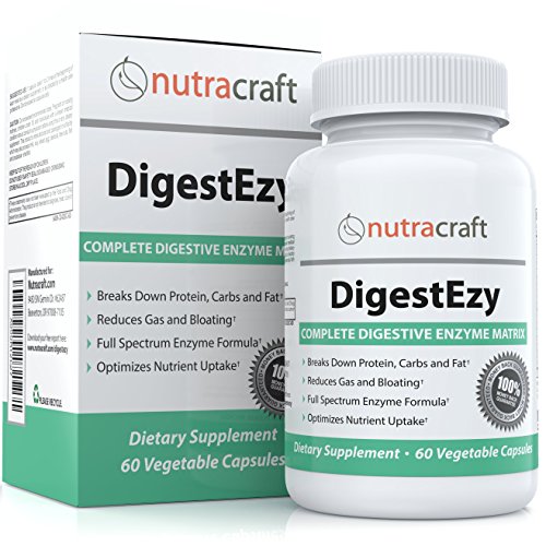 1 Digestive Enzyme Supplement 100 Money Back Guarantee Best Multi