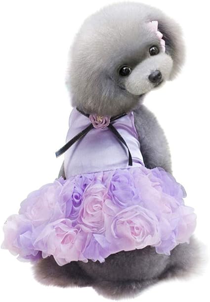 Caoqao Robe De Pour Chien Impression Rose De La Dentelle