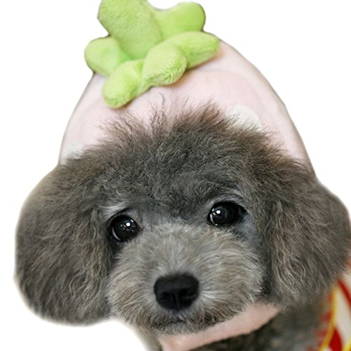 Alfie Pet by Petoga Couture - Bobbie Strawberry Hat for Party Halloween Special Events Costume (for Small Dogs & Cats)