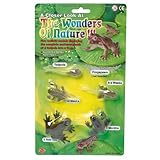 AAA 12839 Tadpole to Frog Metamorphosis Life Cycle of the Frog Toy
