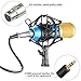 Neewer NW-800 Professional Studio Microphone Set Including NW-800 Condenser Microphone, Microphone Shock Mount, Ball-type Anti-wind Foam Cap and Microphone Power Cable (Blue)