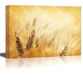 Gold Wheat Field on a Gold Illuminating Background