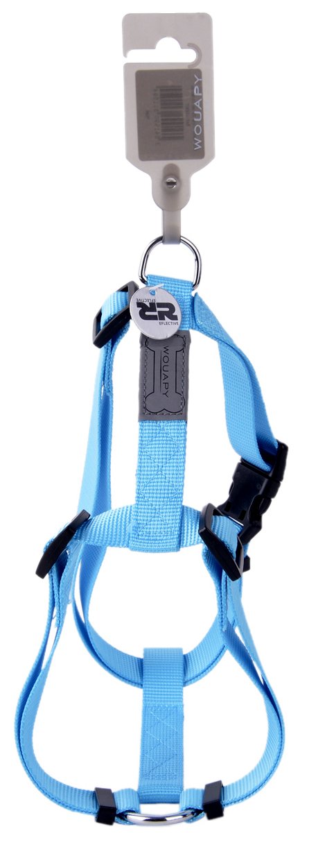 Wouapy Basic Line Harness for Dog, 25 mm Width/Thorax of 63/97 cm, Blue Harness