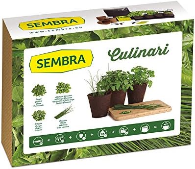 Sembra Big Kit Cultivo, 25.5x33.5x9 cm: Amazon.es: Jardín