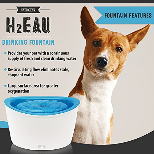 Zeus Fresh & Clear Elevated Dog and Cat Water Dispenser, Large Drinking