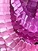 Hanging Garland Four-Leaf Tissue Paper Flower Garland Reusable Party Streamers for Party Wedding Decorations, 11.81 Feet/3.6M Each, Pack of 6 (Pink Set 6PC)