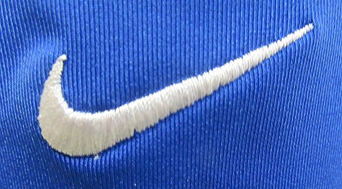 nike performance game shorts