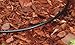 Rain Bird T22-50S Drip Irrigation 1/4