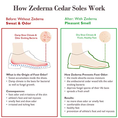ZEDERNA Cedar Wood Shoe Insoles: Natural solution for sweaty feet, foot odor, athlete's foot (Pack of 3), US Women 6/ US Men 4.5/ EU 36 - Thumbnail 4