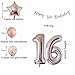16th Birthday Decorations for Girls，Rose Gold 16th Birthday Party Decoration for Her，Rosegold Balloons Decoration for Girls Women 16th Birthday Party Supplies