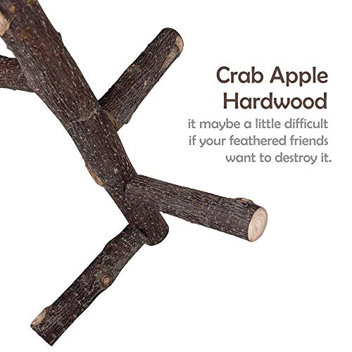 LiMio Bird Perch Natural Crab Apple Hard Wood Stand, Conure Toys Bird Platform for Cage, Cockatiel Parakeet Cage Accessories for Small Medium Parrots
