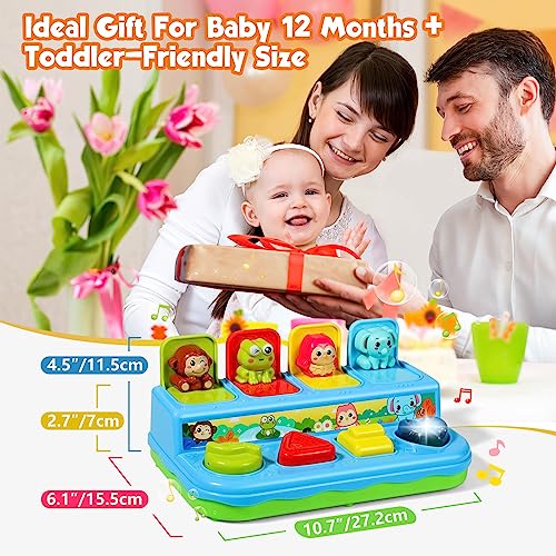 AINOI Preschool Early Development Cause and Effect Pop Up Toys, Light