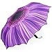 Plemo Automatic Umbrellas, Windproof Purple Daisy Design Compact Folding Umbrellas with Anti-Slip Rubberized Grip, for Business and Travels or Summer Gifts