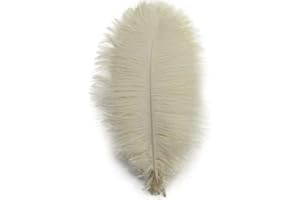 Shekyeon 10-12inch 25-30cm Ostrich Feather Home Decoration DIY Craft Pack of 10 (Ivory)