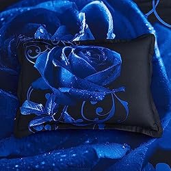 Blue Comforter Set Queen 7 Piece Bed in a Bag Blue
