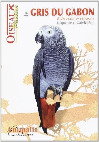 Le  gris du Gabon