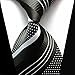 YanLen Lot 9 PCS Classic Men's 100% Silk Tie Necktie Woven JACQUARD Neck Ties (Set 2)
