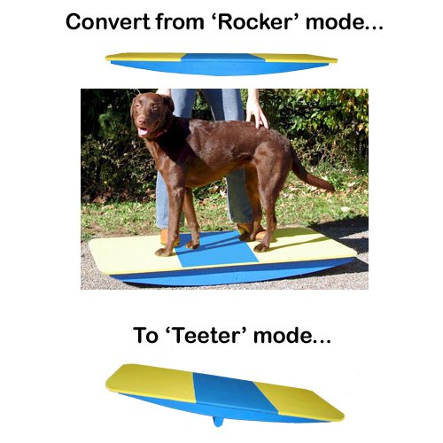 Affordable Agility Rocker Board