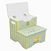 Teamson Kids - Safari Kids Wooden Crackled Step Stool with Storage