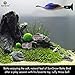 SunGrow Betta Bed Kit, 4 to 6-inches, Comfy Hammock, Rest Area for Fish, Improves Health by Simulating Betta's Native Habitat, 6 Beds + 2 Suction Cups Included