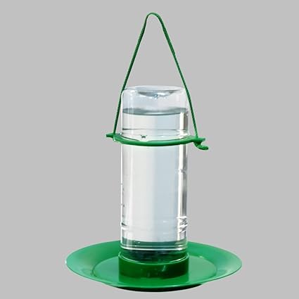 Amijivdaya Medium Bird Water Feeder 1 Liter Amazon In Garden