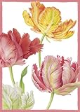 Caspari Entertaining Floral Dance Assorted Blank Notecards, Box of 8