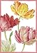 Caspari Entertaining Floral Dance Assorted Blank Notecards, Box of 8