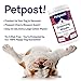 Petpost Large Grooming Wipes for Dogs | 70 Count Deodorizing Dog Cleaning Wipes with Coconut Extract & Aloe | Gentle Pet Wipes with Cherry Blossom Scent for Full-Body Grooming