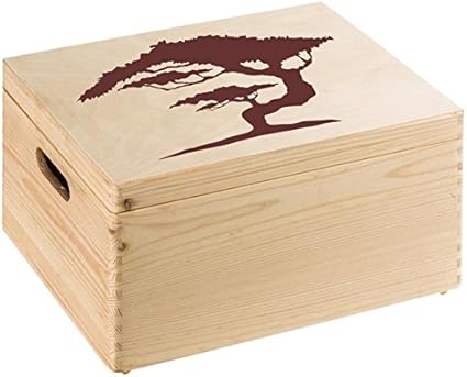 Blanc S Size 27 6 X 39 4 In Bonsai Reutilisable Pochoir A3 A5 Et Plus Grandes Tailles Decoration Murale Style Shabby Chic T5 Pochoir En Pvc Reutilisable 70 X 100 Cm Outils Bricolage Iplanmovilidad Com