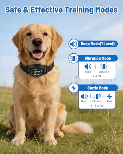LINCAE GPS Wireless Dog Fence, Electric Dog Collar Fence & Perimeter Containment System, IPX7 Waterproof Collar, 25–999 Yards Radius, Beep Vibration Shock Correction, for Dogs Over 18 lbs