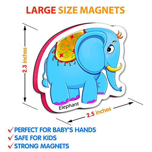 3 Refrigerator+Magnets+Toddlers+Kids+Magnetic