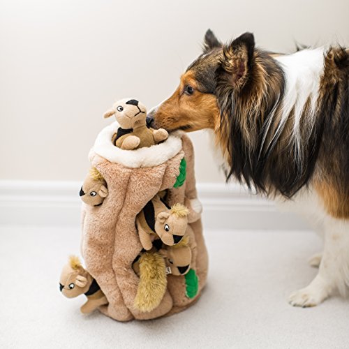 Outward Hound Hide-A-Squirrel and Puzzle Plush Squeaking Toys for Dogs Pet Supplies, Dogs, Toys, Squeak Toys