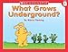 Level B - What Grows Underground? (Little Leveled Readers: Level B)