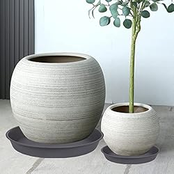 Bleuhome 6 Pack of 10 inch Plant Saucer Gray, Heavy