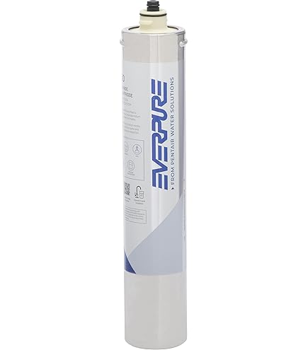 Amazon.com: Everpure 2FC-P | Aquverse A100 | Pentair S-54