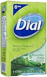 Dial Bar Soap - Mountain Fresh - 4 oz - 8 ct