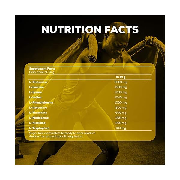 Biotech-USA-EAA-Zero-Amino-Acids-Lemon-Flavor-330-gr Biotech USA EAA Zero Amino Acids Lemon Flavor - 330 gr