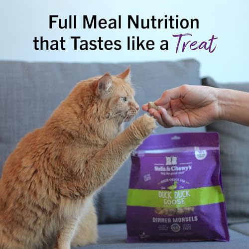 STELLA & CHEWY’S FREEZE-DRIED RAW CAT DINNER MORSELS – PREMIUM DUCK & GOOSE RECIPE WITH 98% CAGE-FREE POULTRY & ORGANS – NATURAL GRAIN-FREE CAT & KITTEN FOOD – MADE IN USA – 8 OZ
