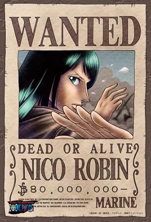 Image result for robin wanted poster