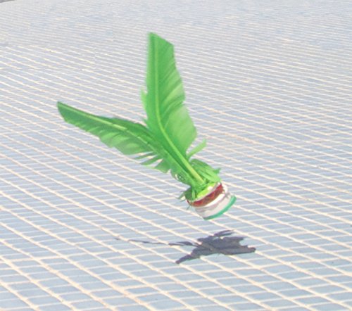 5 Hackibird+hacky+Great+children+adults