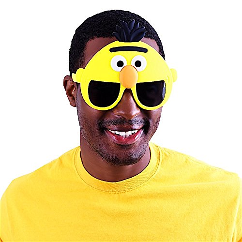 Sunstaches Sesame Street Bert